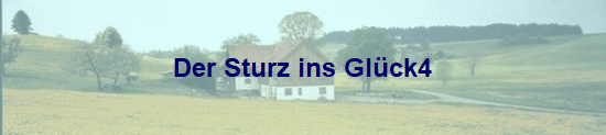 Der Sturz ins Glck4