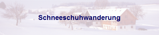 Schneeschuhwanderung