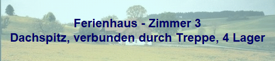 Ferienhaus - Zimmer 3
Dachspitz, verbunden durch Treppe, 4 Lager