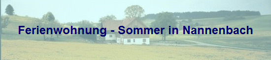 Ferienwohnung - Sommer in Nannenbach