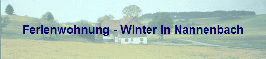 Ferienwohnung - Winter in Nannenbach