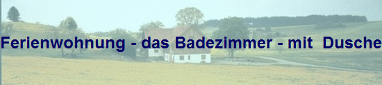 Ferienwohnung - das Badezimmer - mit  Dusche