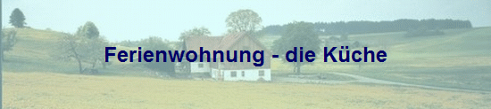Ferienwohnung - die K�che