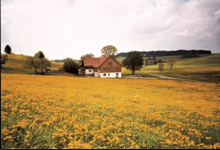 Sommer450
