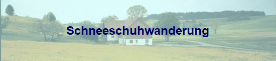 Schneeschuhwanderung